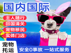 稻城亚丁空运地址国际宠物托运 【国